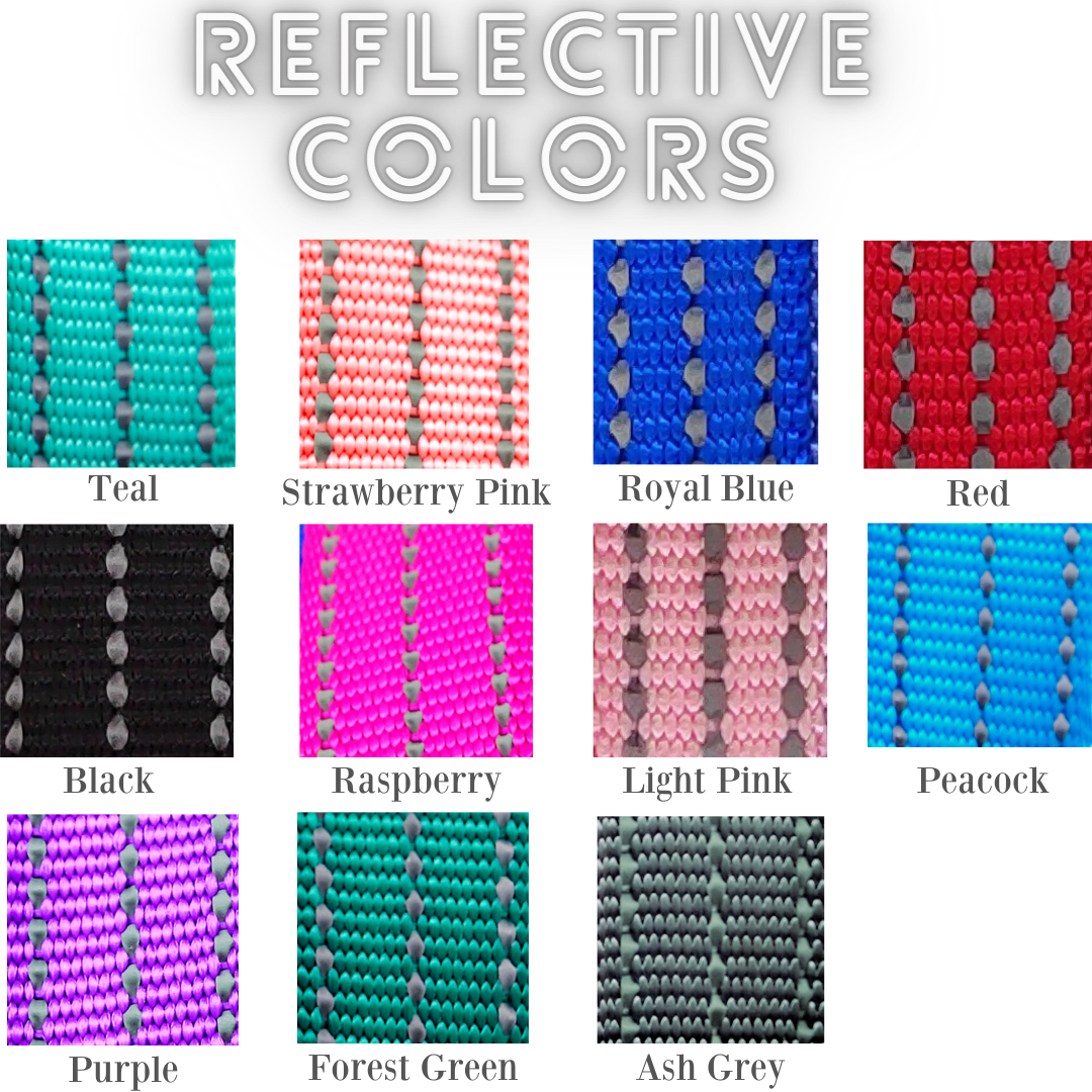 Reflective Nylon Designer Dog Leash (11 Colors)