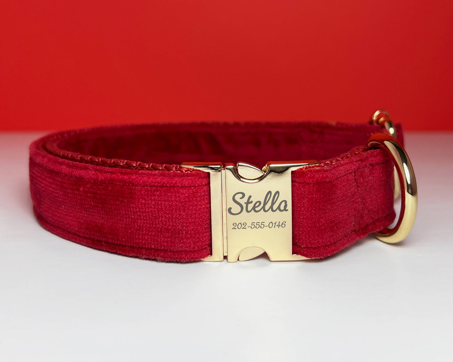 Personalized Dog Collar Gold Buckle, Little tail dog collar