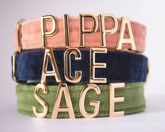 Personalized Dog Collar Gold Buckle, Little tail dog collar