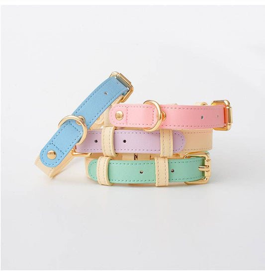 Loofie - Colorful Leather Dog Collar